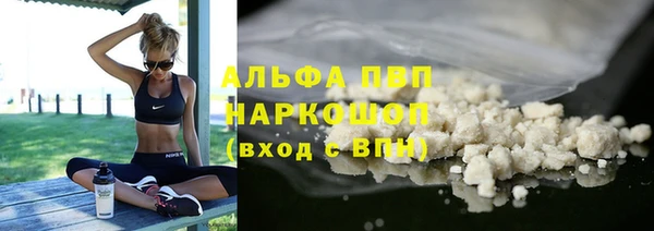 дживик Арсеньев
