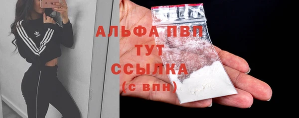 дживик Арсеньев