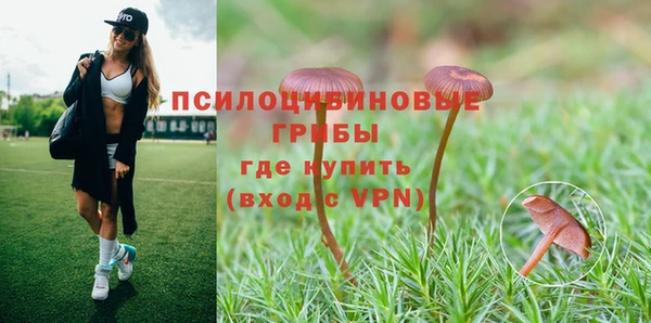 MDMA Premium VHQ Аркадак