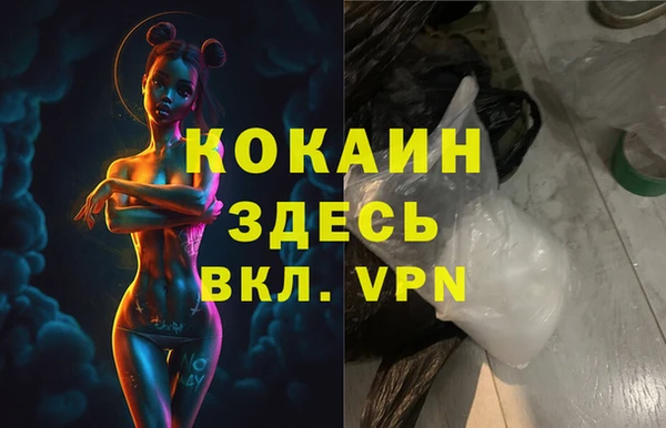 дживик Арсеньев